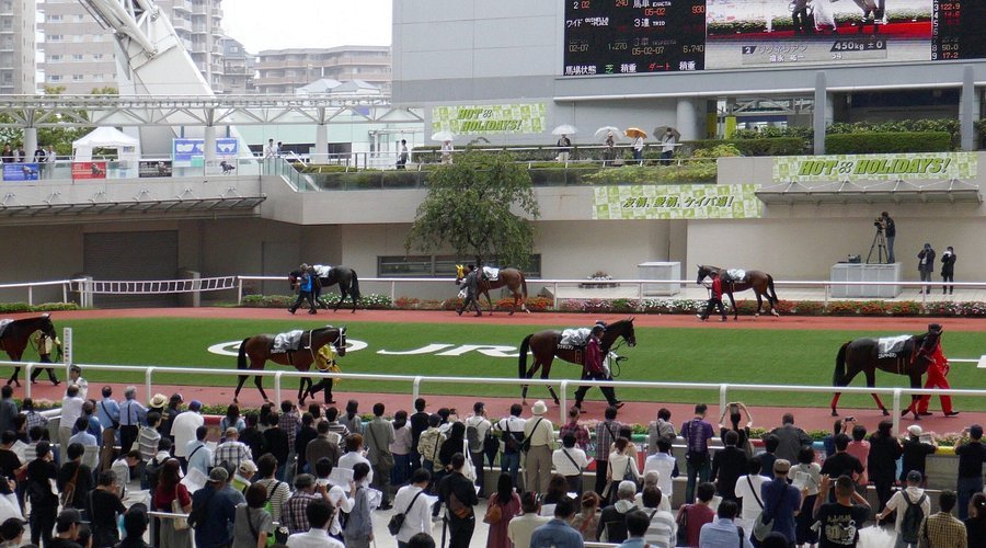 🐎 한신 경마장 이미지 4